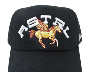 "Fortune Favors" Trucker Hat